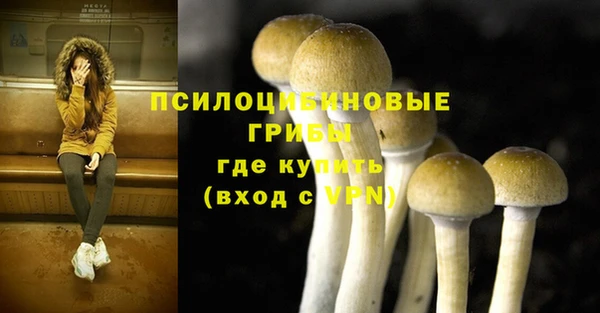 а пвп мука Алексеевка