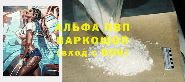 гидра Абаза