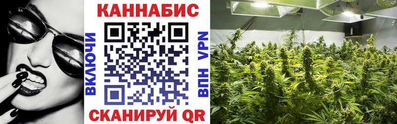 Бошки Шишки сатива  Чердынь 